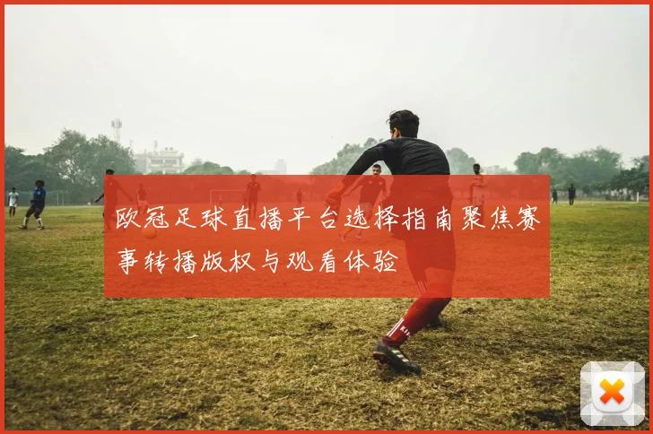 欧冠足球直播平台选择指南聚焦赛事转播版权与观看体验